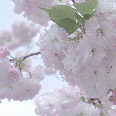 贵溪福瑞交流群